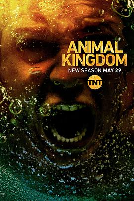 爱情电影网《野兽家族 第三季 Animal Kingdom Season 3》免费在线观看