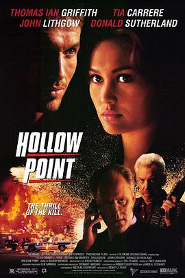 爱情电影网《危机风暴 Hollow Point》免费在线观看