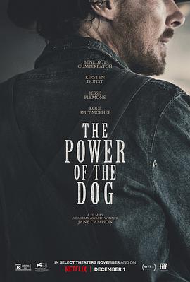 爱情电影网《犬之力 The Power of the Dog》免费在线观看