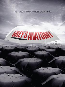 爱情电影网《实习医生格蕾 第六季 Grey's Anatomy Season 6》免费在线观看