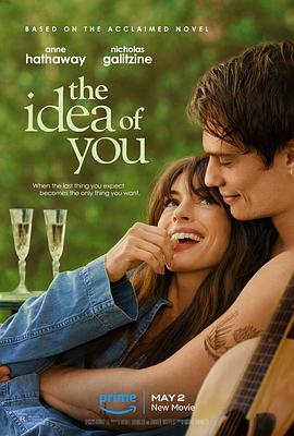 爱情电影网《对你的想象 The Idea of You》免费在线观看