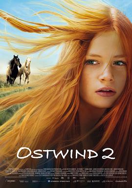 爱情电影网《骏马奥斯温2 Ostwind 2》免费在线观看