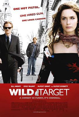 电影《狂野目标 Wild Target》完整版在线免费观看