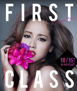 爱情电影网《First Class 2》免费在线观看